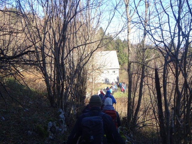 Banjška planota (16.11.2024 in ogl.tura) - foto