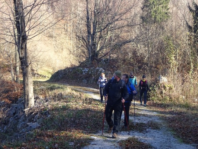 Banjška planota (16.11.2024 in ogl.tura) - foto