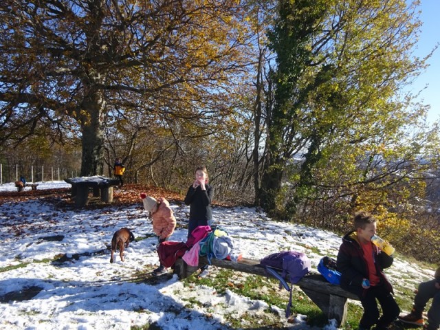 Plač za oš (23.11.2024) - foto