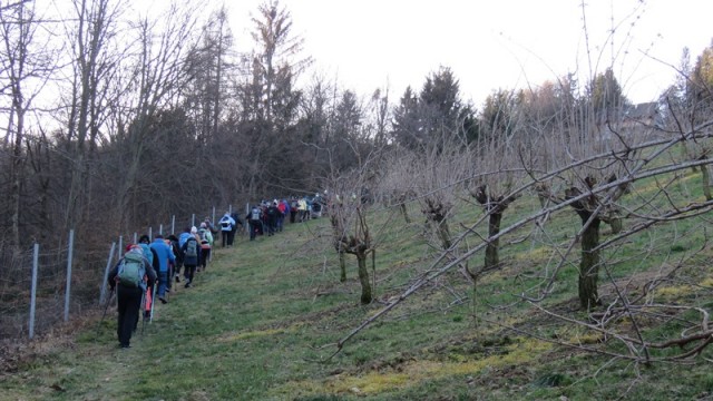 Sv, duh na ostrem vrhu (ogl.t.) - foto