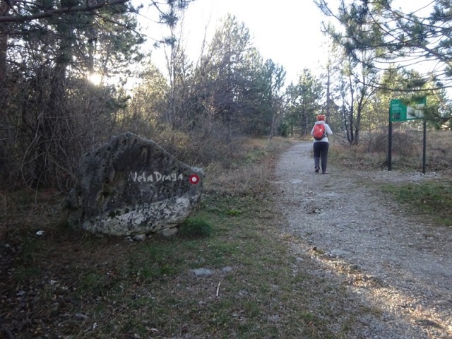 Pohod ob dnevu žena (ogl.tura) - foto
