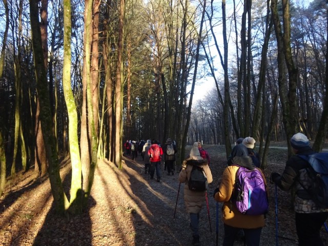 Pomurska planinska pot (11.1.2025) - foto