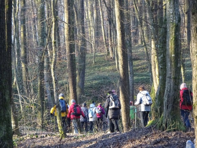 Pomurska planinska pot (11.1.2025) - foto