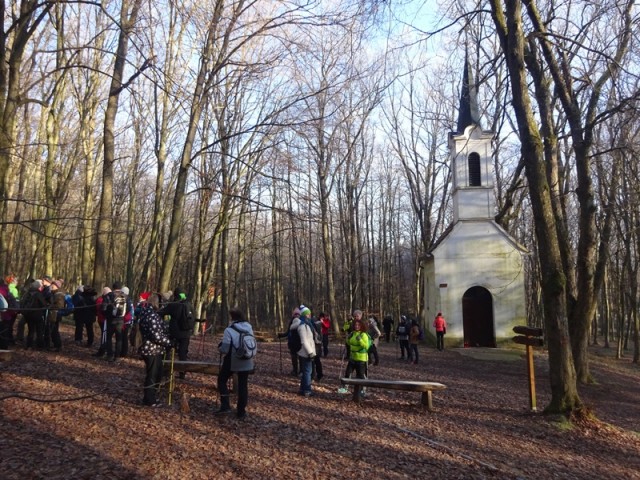 Pomurska planinska pot (11.1.2025) - foto