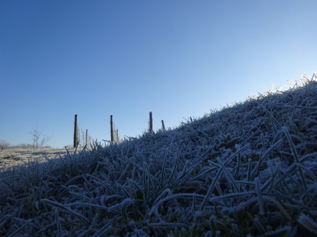 Pomurska planinska pot (11.1.2025) - foto