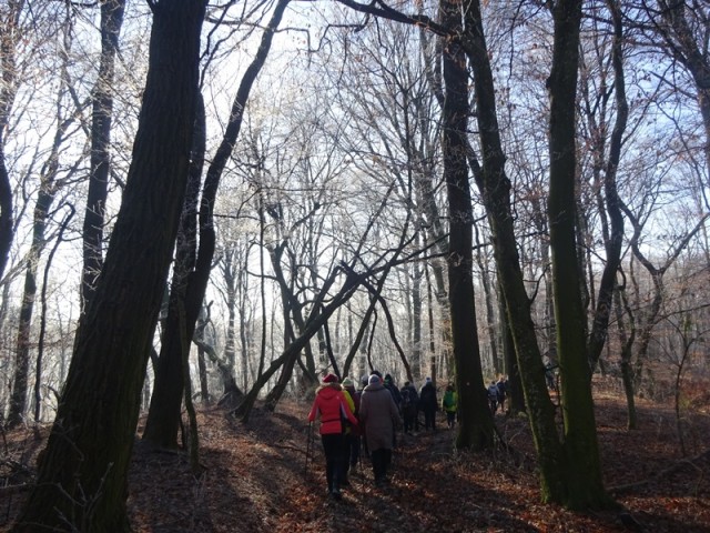 Pomurska planinska pot (11.1.2025) - foto