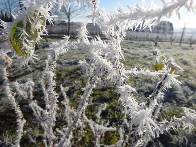 Pomurska planinska pot (11.1.2025) - foto