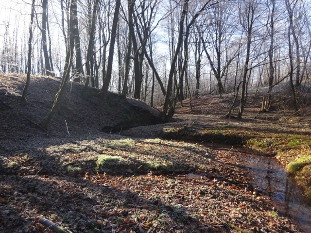 Pomurska planinska pot (11.1.2025) - foto