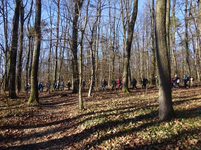 Pomurska planinska pot (11.1.2025) - foto