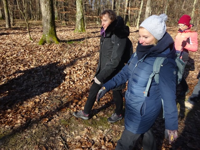 Pomurska planinska pot (11.1.2025) - foto