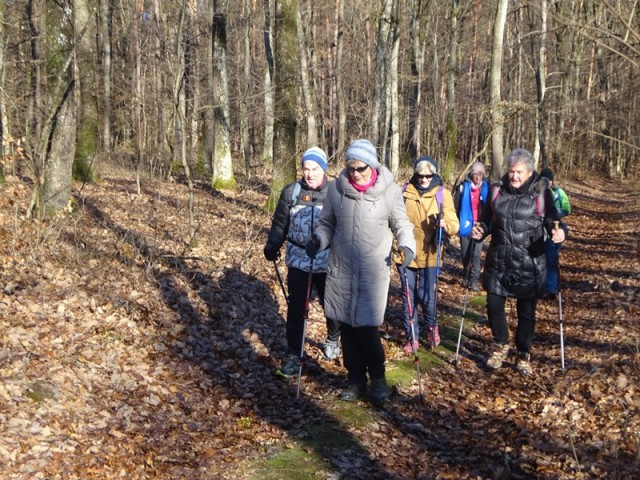 Pomurska planinska pot (11.1.2025) - foto