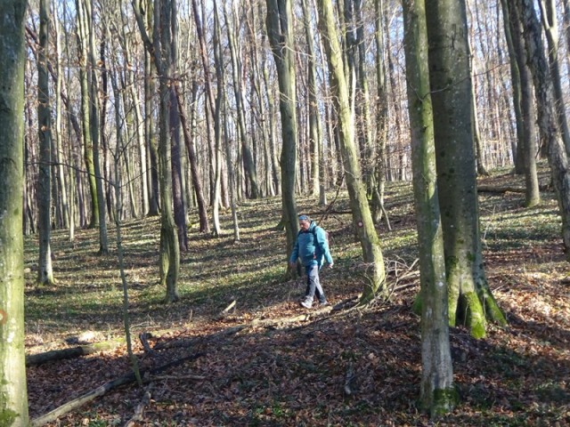 Pomurska planinska pot (11.1.2025) - foto