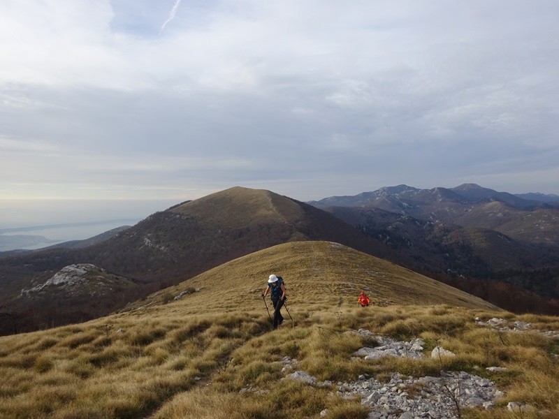 Srednji velebit (ogl.t.) - foto povečava