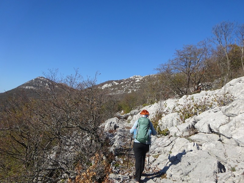 Srednji velebit (ogl.t.) - foto povečava