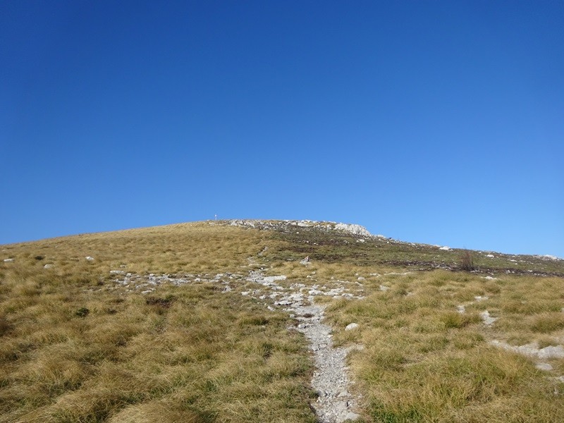 Srednji velebit (ogl.t.) - foto povečava