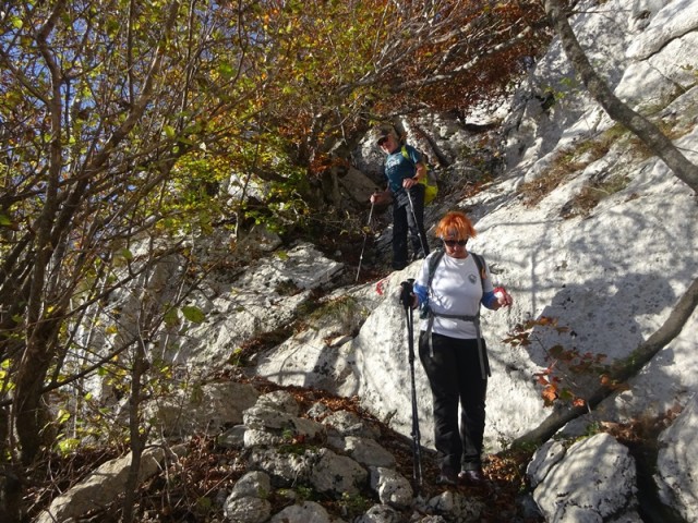Srednji velebit (ogl.t.) - foto