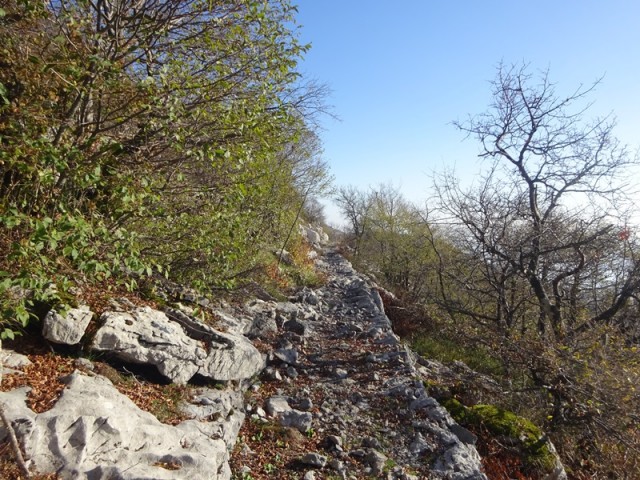 Srednji velebit (ogl.t.) - foto