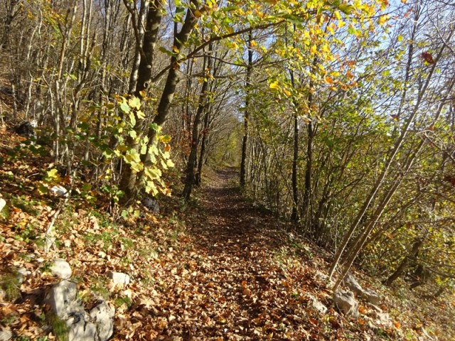 Srednji velebit (ogl.t.) - foto