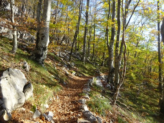 Srednji velebit (ogl.t.) - foto