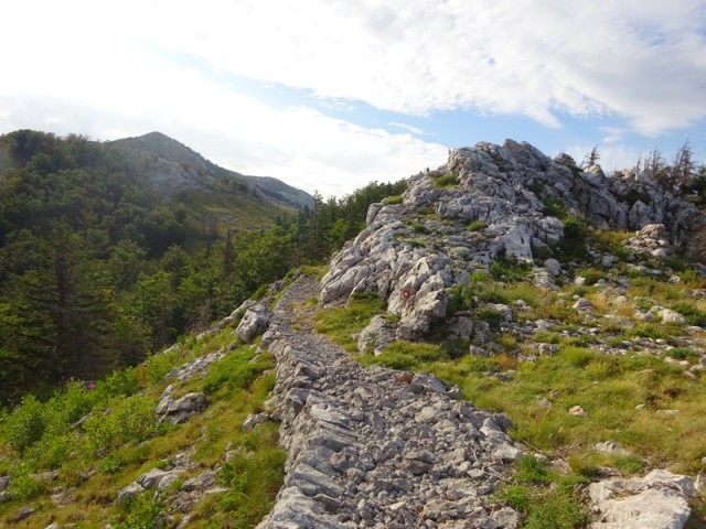 Srednji velebit (ogl.t.) - foto
