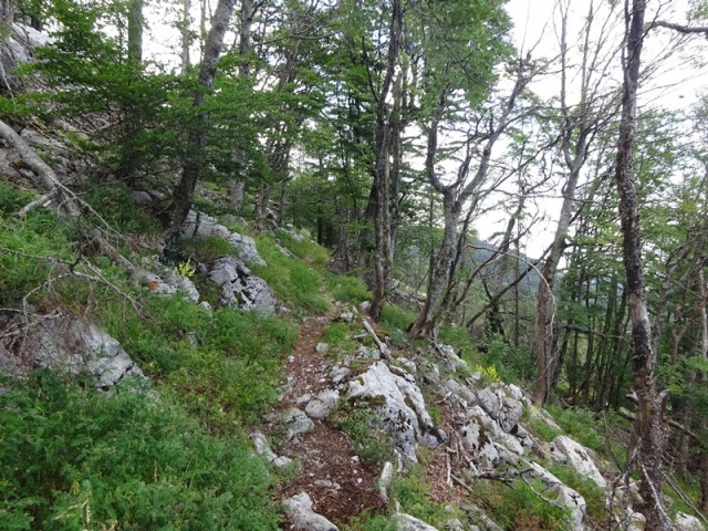 Srednji velebit (ogl.t.) - foto