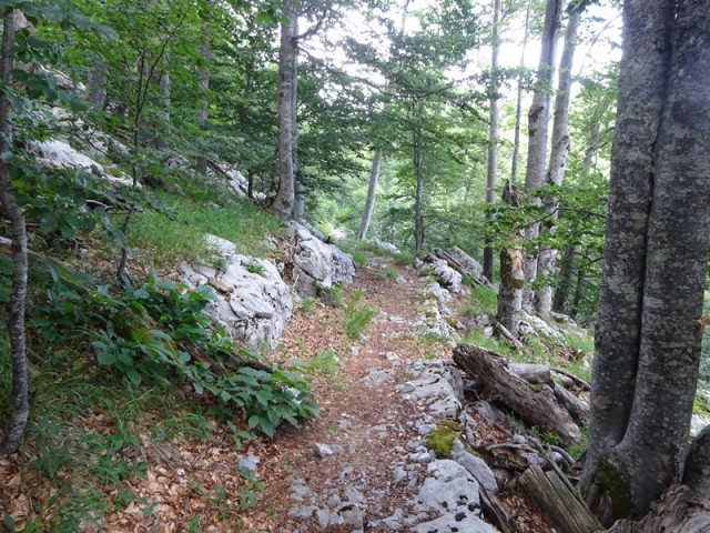 Srednji velebit (ogl.t.) - foto