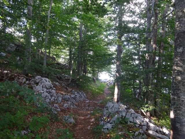 Srednji velebit (ogl.t.) - foto