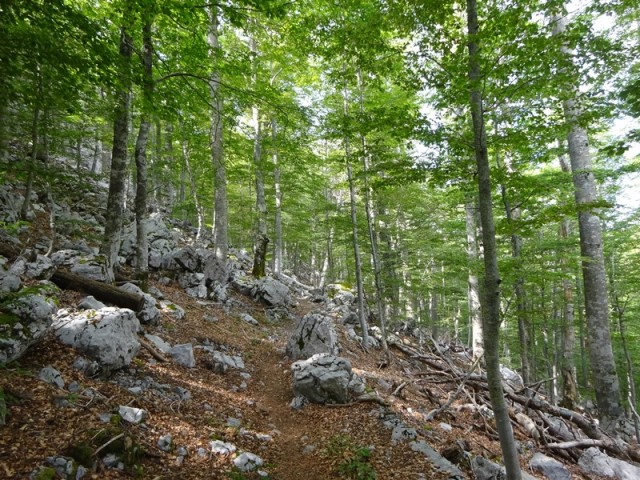 Srednji velebit (ogl.t.) - foto