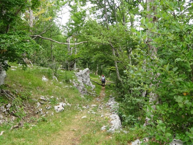 Srednji velebit (ogl.t.) - foto
