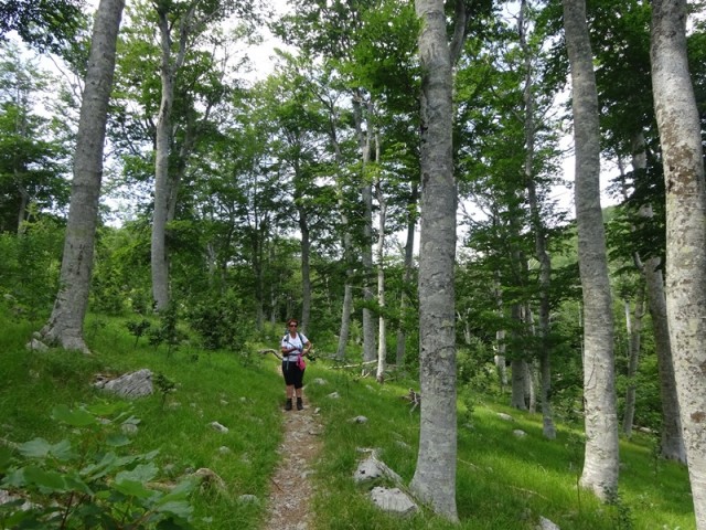 Srednji velebit (ogl.t.) - foto