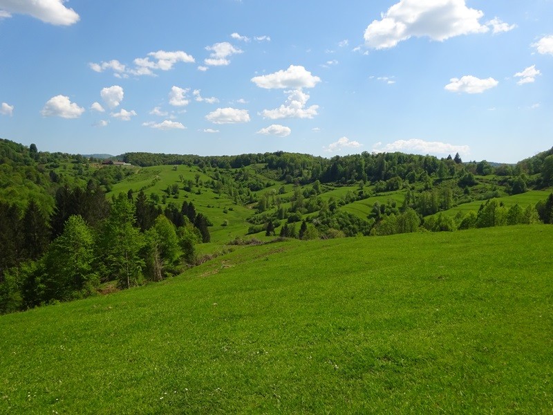 Po medvedovih stopinjah 4.del (2.5.2025) - foto povečava