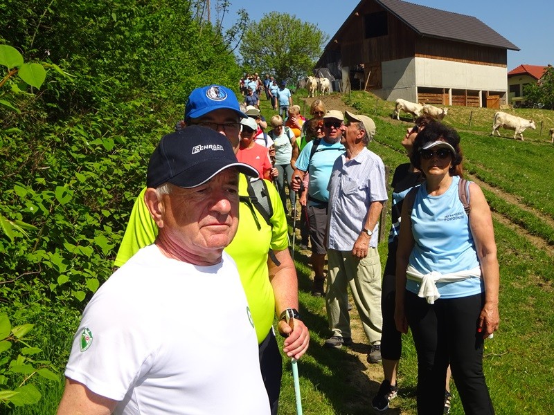 Prvomajski pohod na zavrh (1.5.2025) - foto povečava