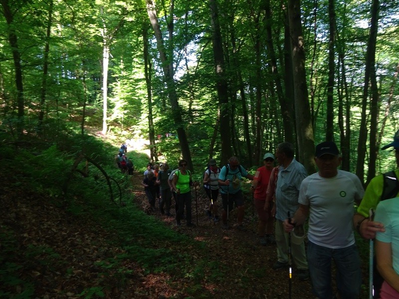 Prvomajski pohod na zavrh (1.5.2025) - foto povečava