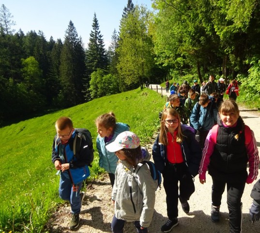 Golica pohod za OŠ (24.5.2025) - foto