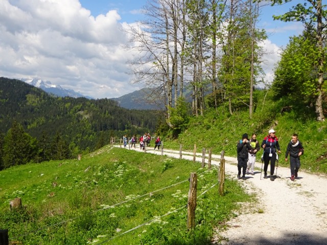 Golica pohod za OŠ (24.5.2025) - foto