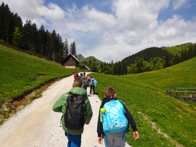 Golica pohod za OŠ (24.5.2025) - foto
