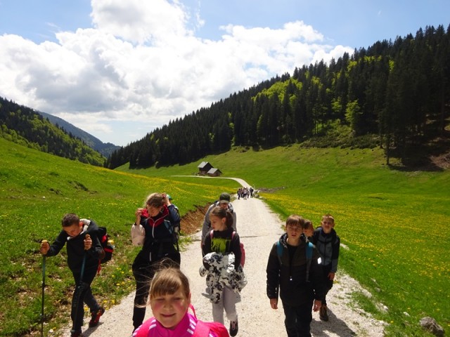 Golica pohod za OŠ (24.5.2025) - foto