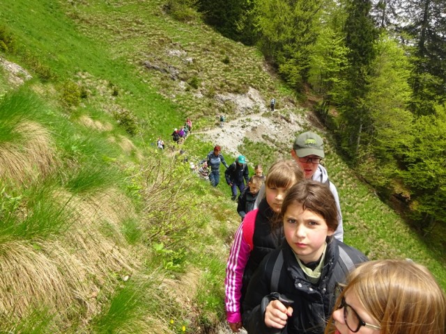 Golica pohod za OŠ (24.5.2025) - foto