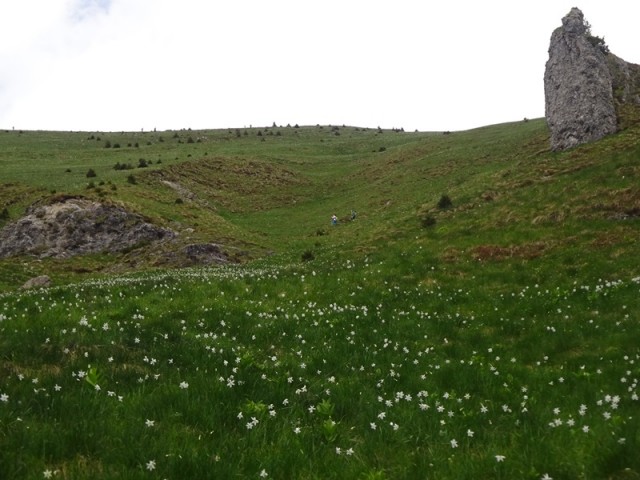 Golica pohod za OŠ (24.5.2025) - foto