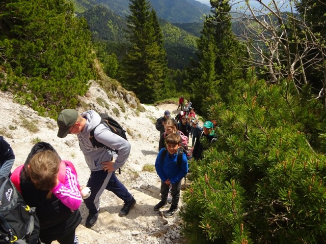 Golica pohod za OŠ (24.5.2025) - foto