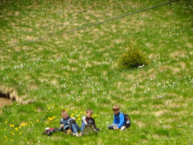 Golica pohod za OŠ (24.5.2025) - foto