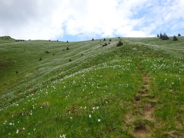 Golica pohod za OŠ (24.5.2025) - foto