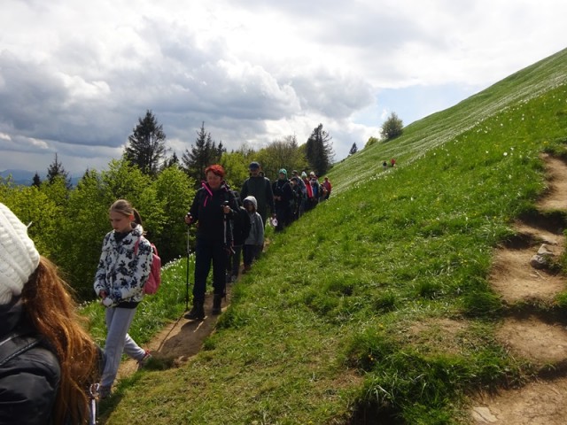 Golica pohod za OŠ (24.5.2025) - foto