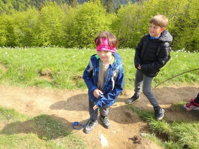 Golica pohod za OŠ (24.5.2025) - foto