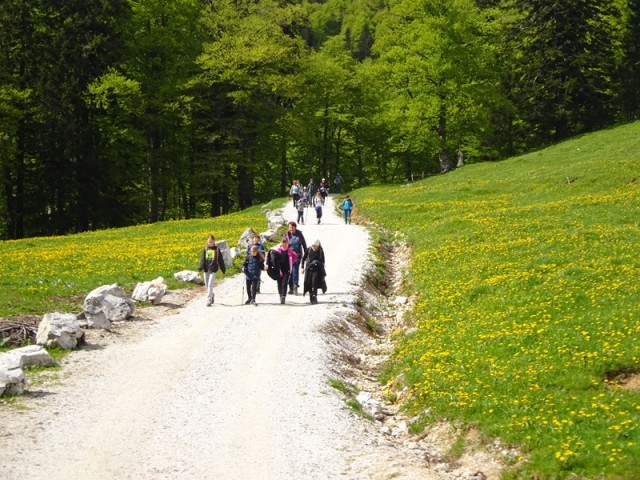 Golica pohod za OŠ (24.5.2025) - foto