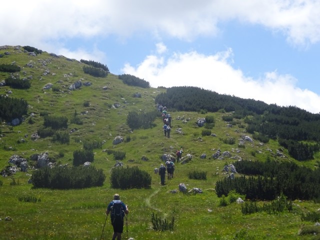 Bistriška špica (19.7.2025) - foto