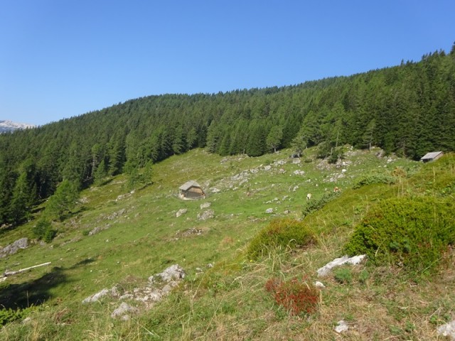 Raduha (ogl.t.) - foto