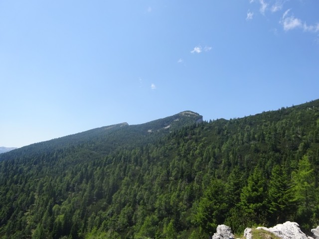 Raduha (ogl.t.) - foto