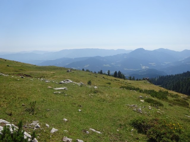 Raduha (ogl.t.) - foto