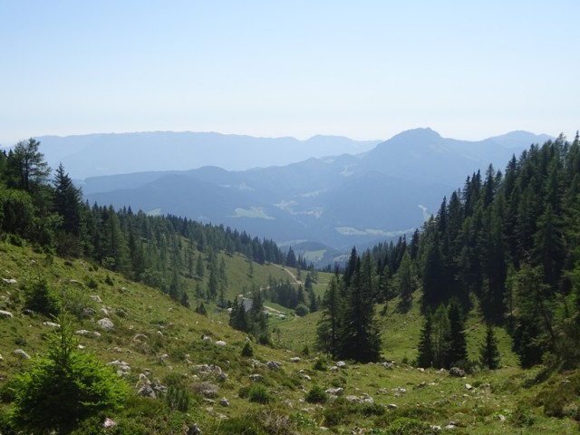 Raduha (ogl.t.) - foto